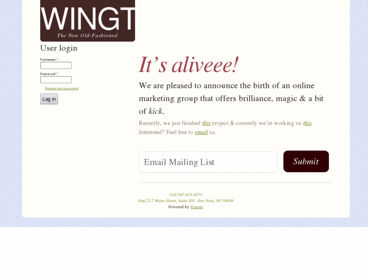 www.wingtipmarketing.com