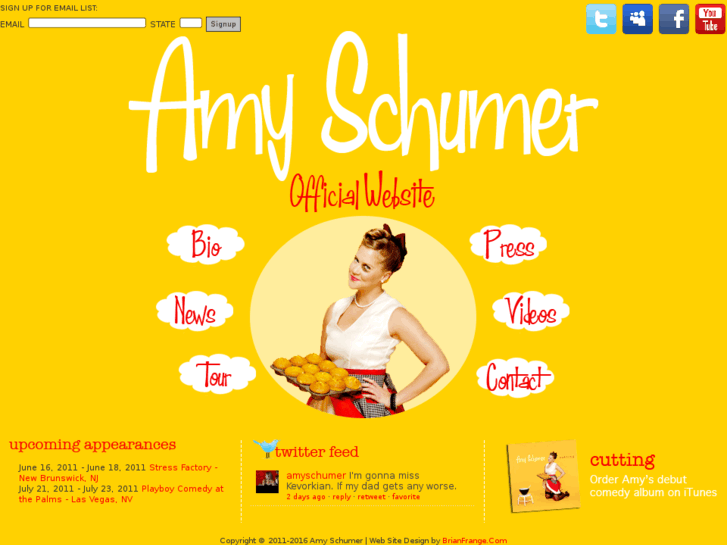 www.amyschumer.com