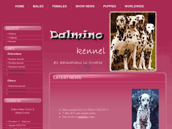 www.dalmino-kennel.com