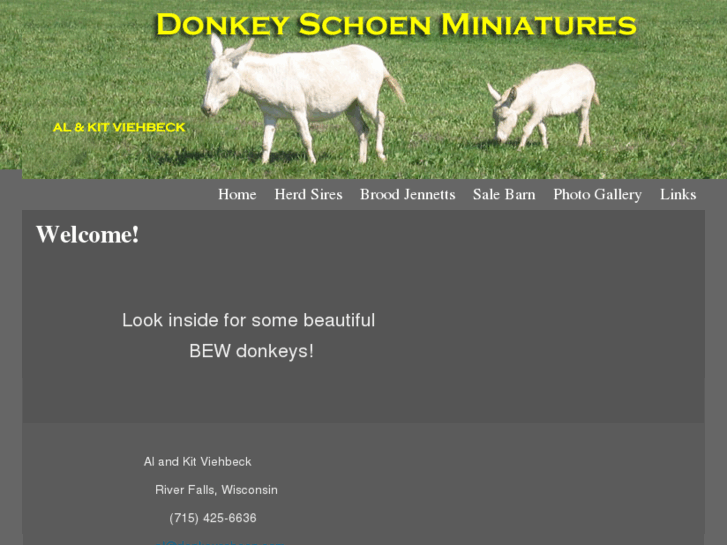 www.donkeyschoen.com