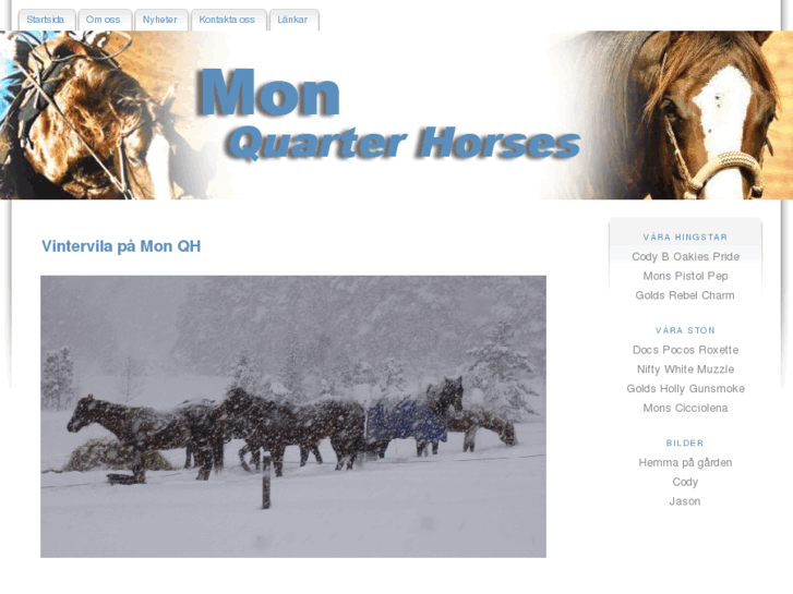 www.monqh.se
