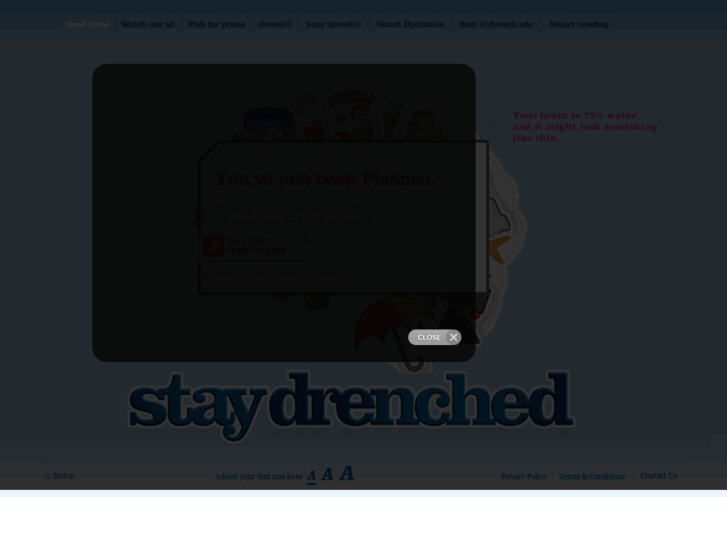 www.thebigdrench.com