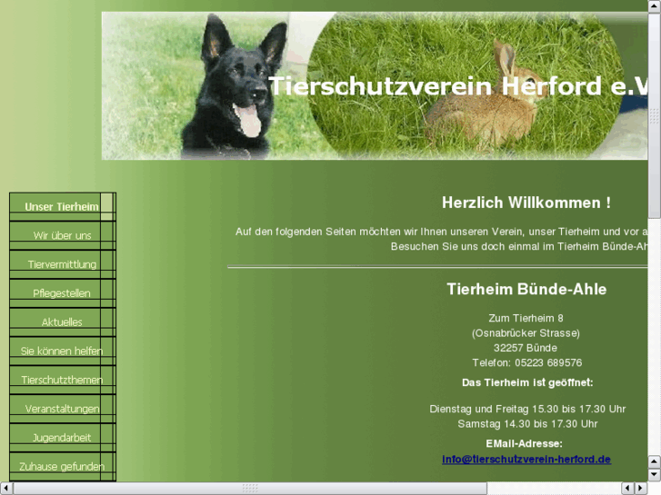 www.tierheim-buende.de