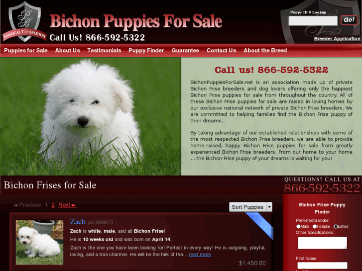 www.bichonpuppiesforsale.net