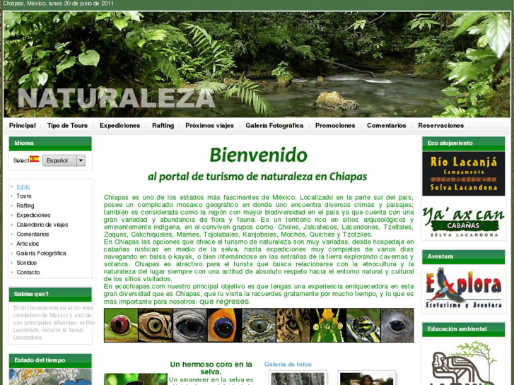 www.ecochiapas.com