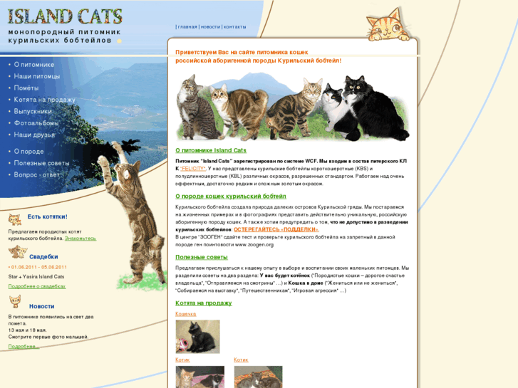 www.islandcats.ru