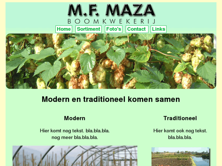 www.mfmaza.com