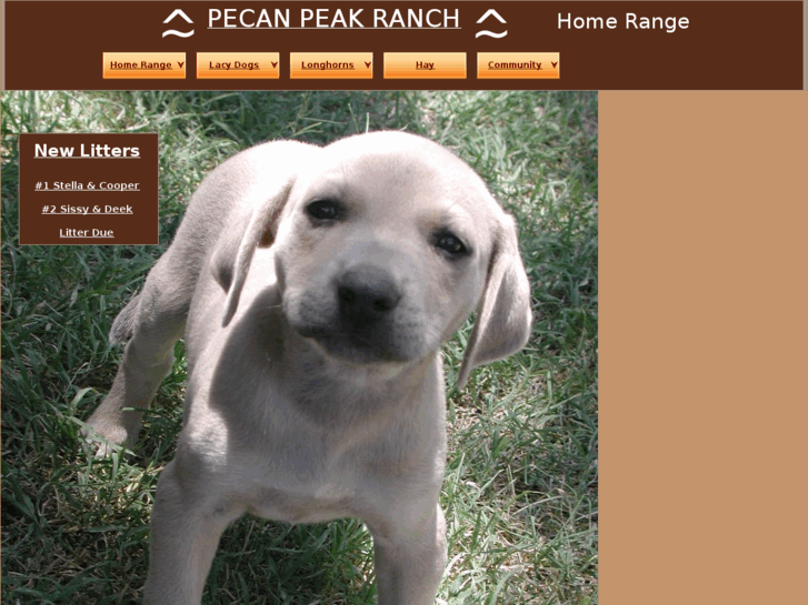 www.pecanpeakranch.com