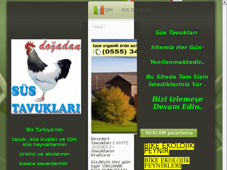 www.sustavuklari.net