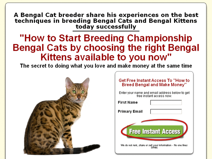 www.ebengalcats.com