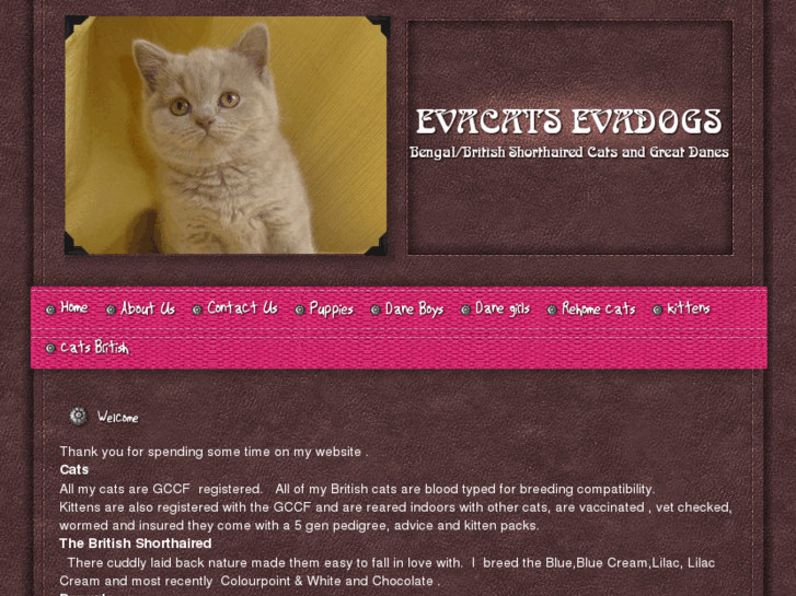 www.evacats-dogs.com