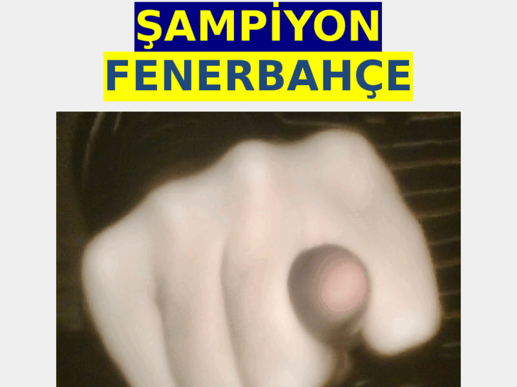 www.sampiyonfenerbahce.com