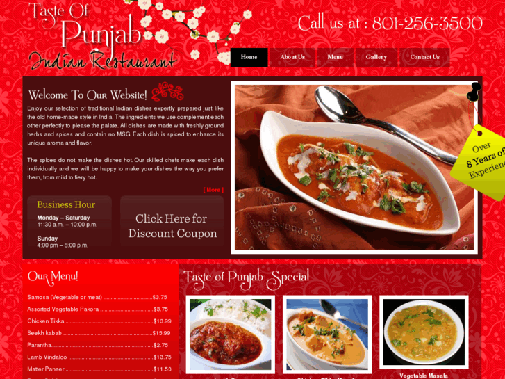 www.tasteofpunjabinut.com