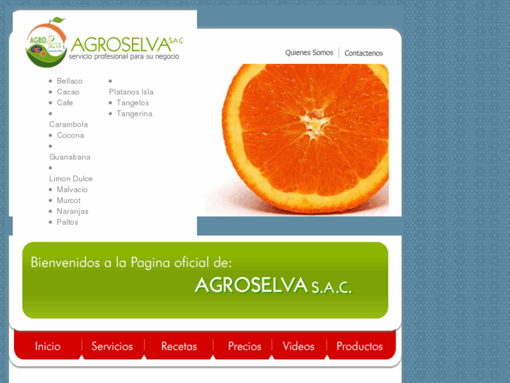 www.agroselvasac.com