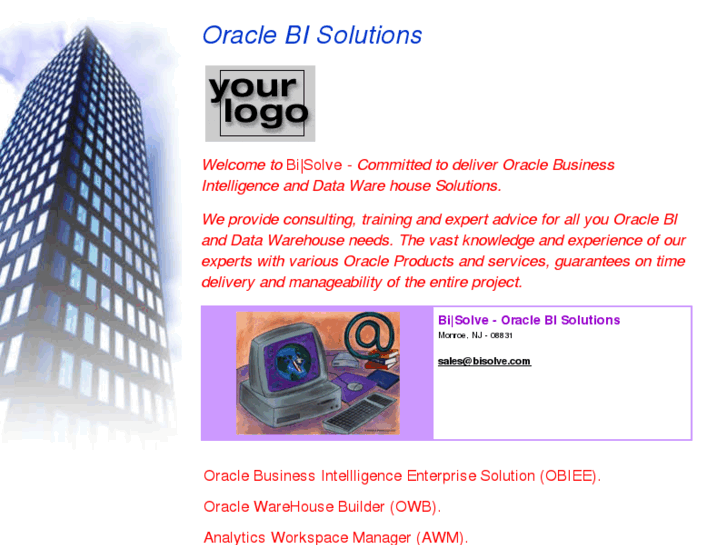 www.bisolve.com