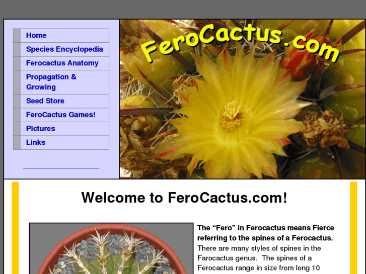 www.ferocactus.com