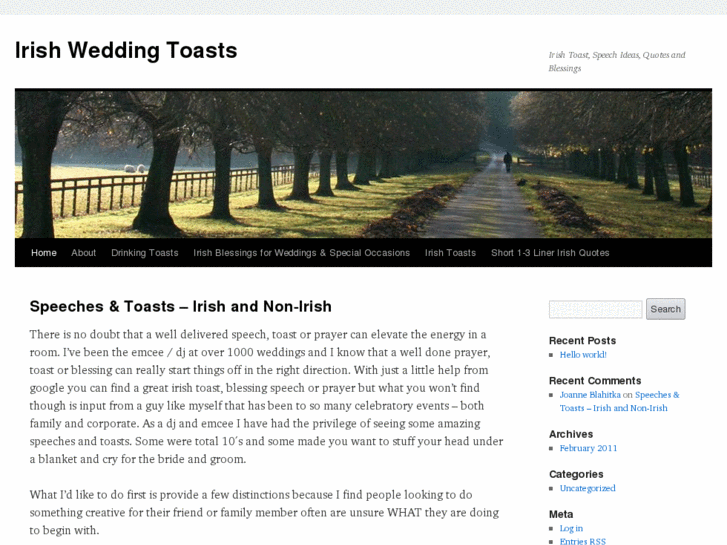 www.irishweddingtoast.net