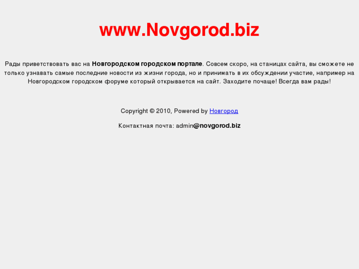 www.novgorod.biz