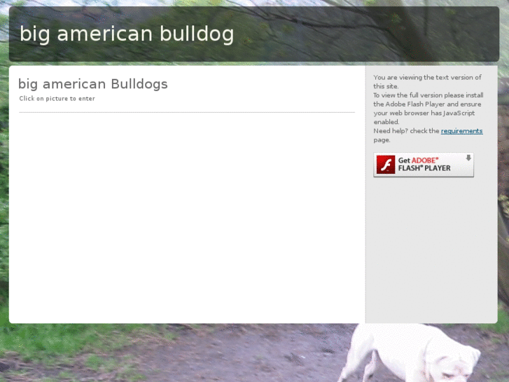 www.bigamericanbulldogs.com