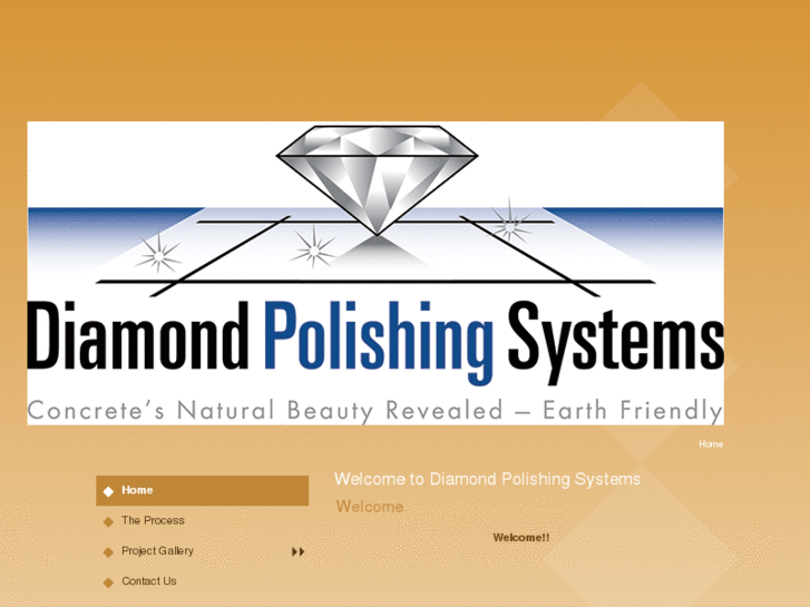 www.diamondpolishingsystems.com