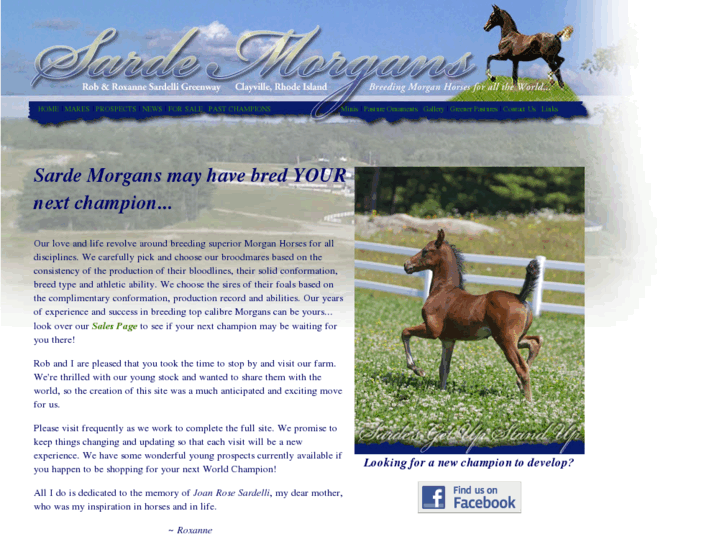 www.sardemorganhorses.com