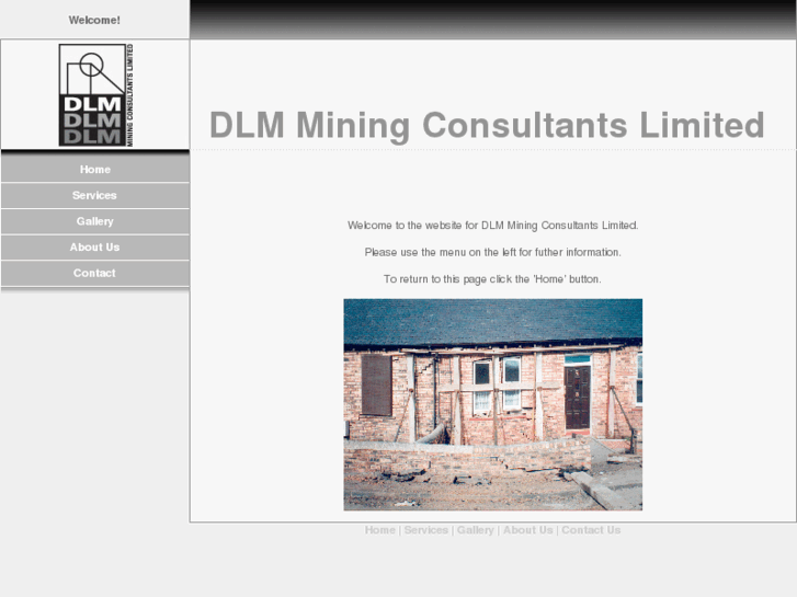 www.dlmminingconsultants.com