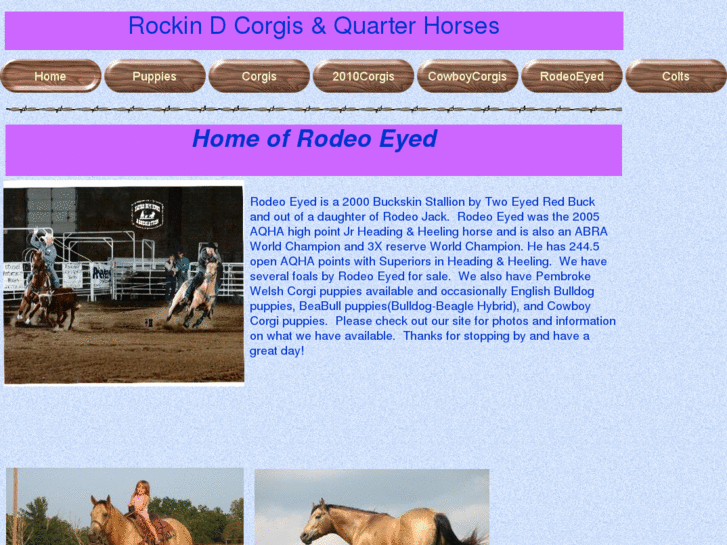 www.rockindcorgisnquarterhorses.com