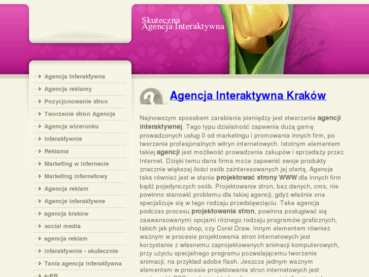 www.agencjainteraktywna.net.pl