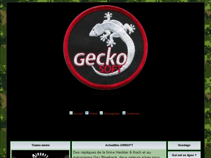 www.gecko-soft.com