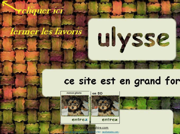 www.ulysse-yorkshire.com