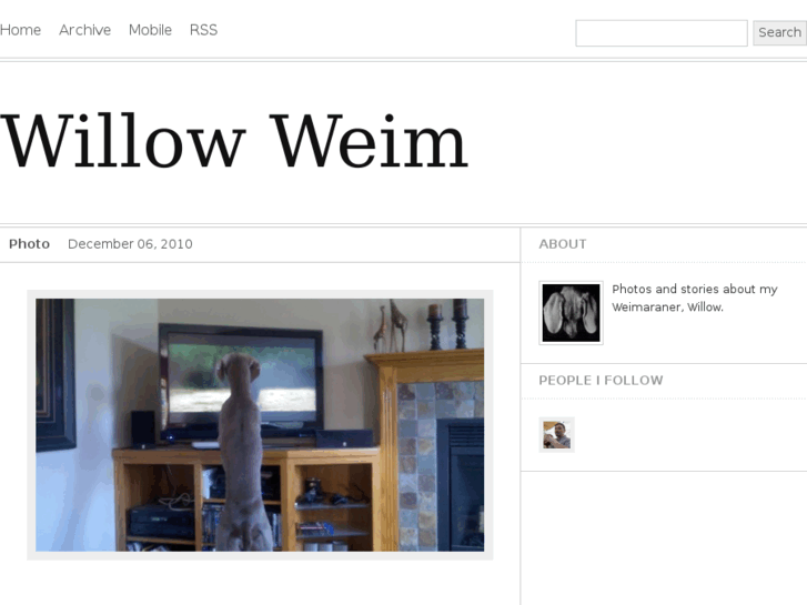 www.willowweim.com