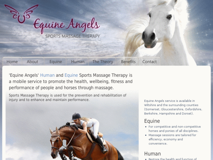 www.equine-angels.com