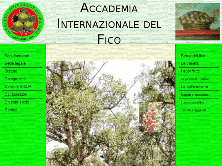 www.accademiadelfico.org