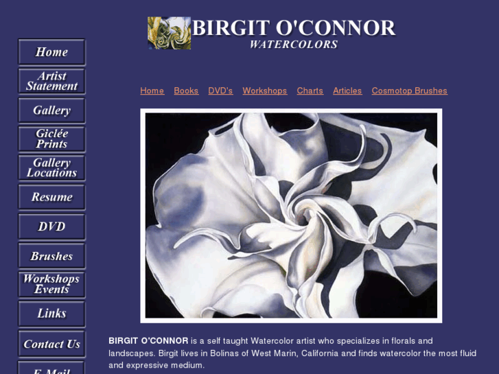 www.birgitoconnor.com