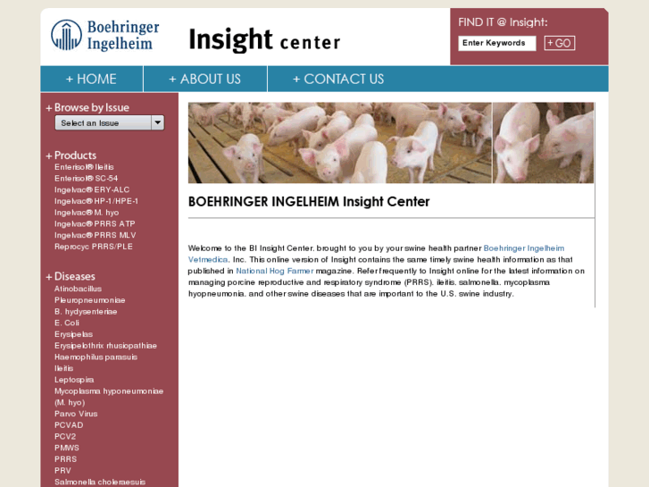 www.insightbi.com
