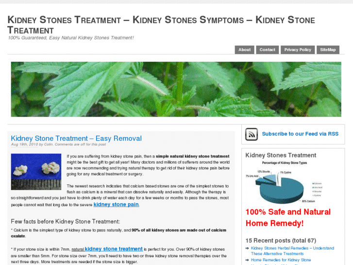 www.kidneystonestreatments.net