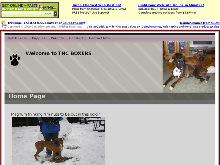 www.tncboxers.com