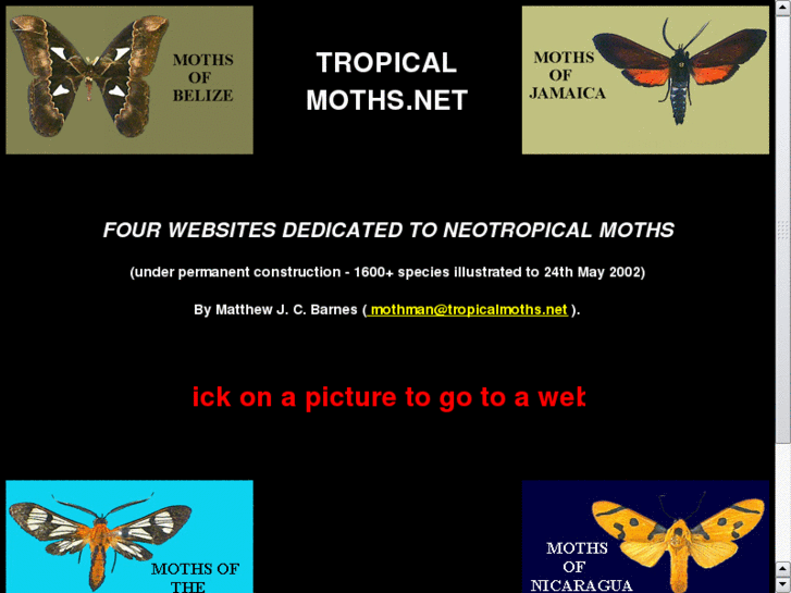 www.tropicalmoths.net