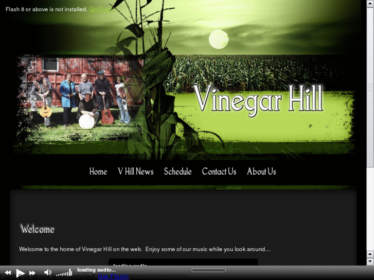 www.vinegarhillmusic.com