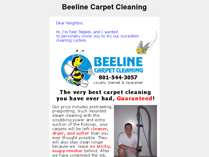 www.beelinecarpetcleaning.com