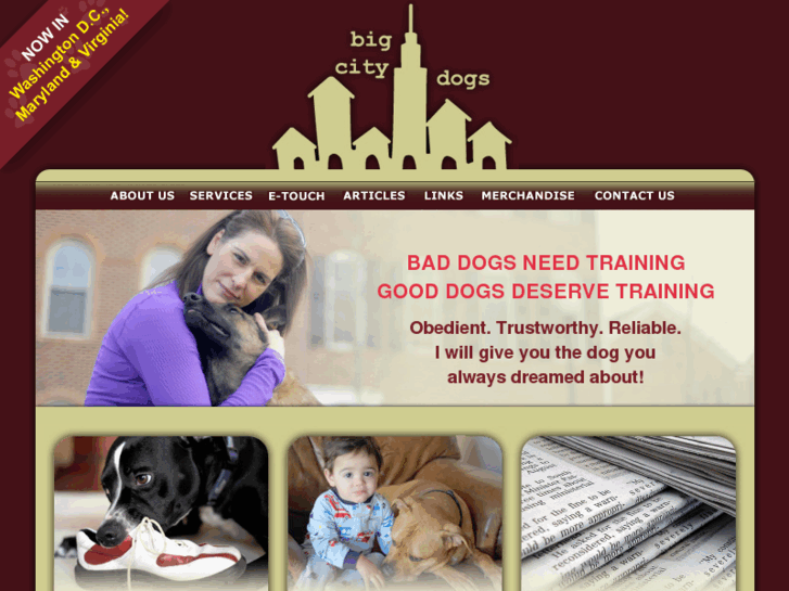 www.bigcitydogs.net