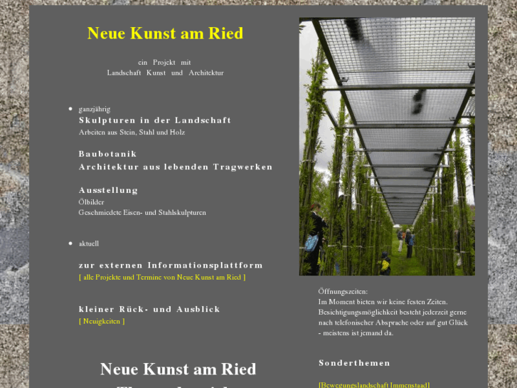 www.neue-kunst-am-ried.de