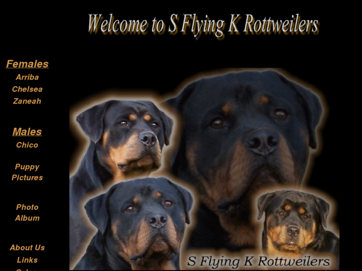 www.sflyingkrottweilers.com