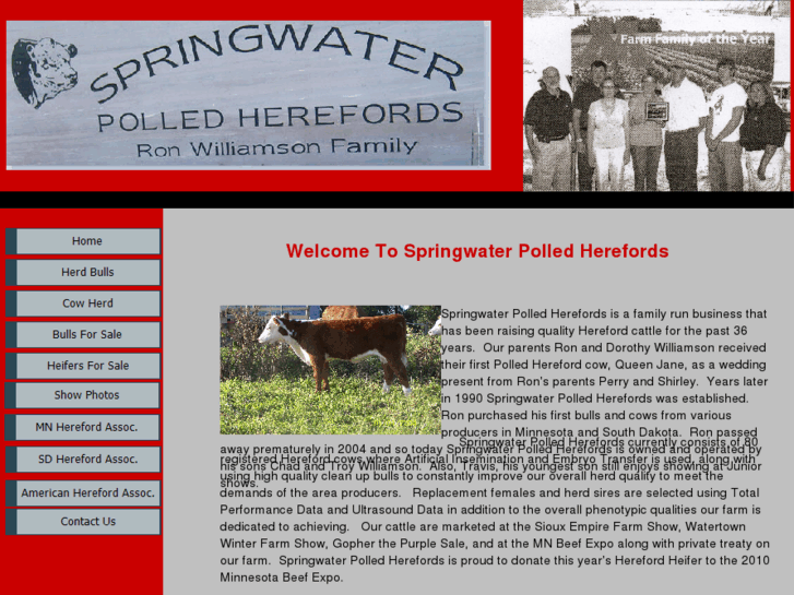 www.springwaterpolledherefords.com