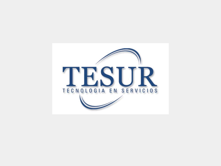 www.tesur-ingenieria.com.ar