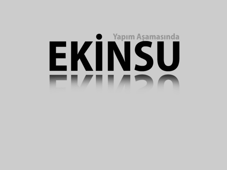 www.ekinsu.com