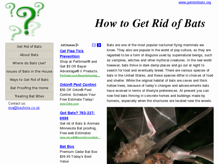 www.getridofbats.org