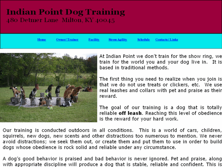 www.indianpointdogtraining.com