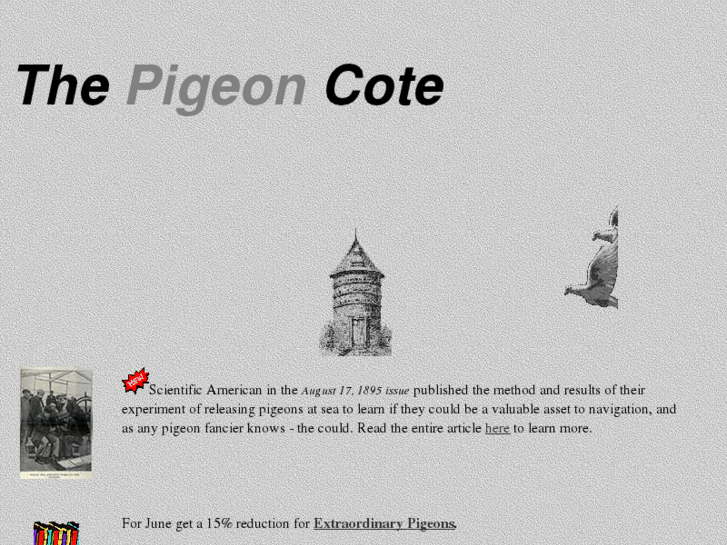 www.pigeoncote.com