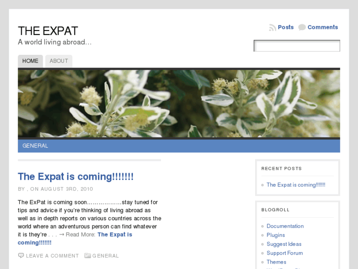www.the-expat.com